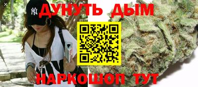 a pvp Дубна