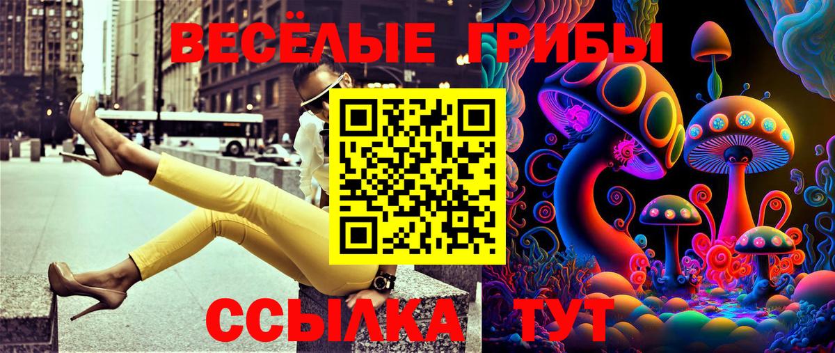 цены наркотик  Псилоцибиновые грибы MAGIC MUSHROOMS  Вход с VPN  Йошкар-Ола 