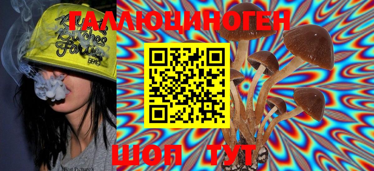 Галлюциногенные грибы Psilocybe Йошкар-Ола
